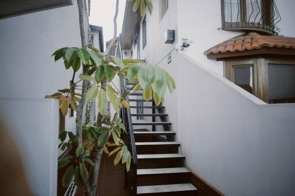 Casa Macfarland Boutique Apartment เอนเซนาดา ภายนอก รูปภาพ