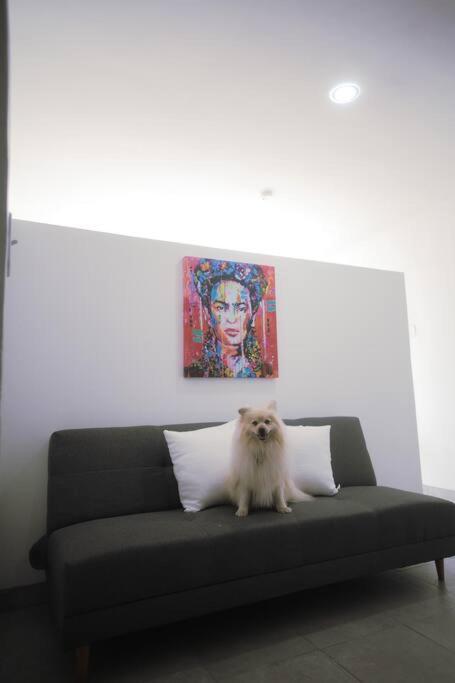 Casa Macfarland Boutique Apartment เอนเซนาดา ภายนอก รูปภาพ